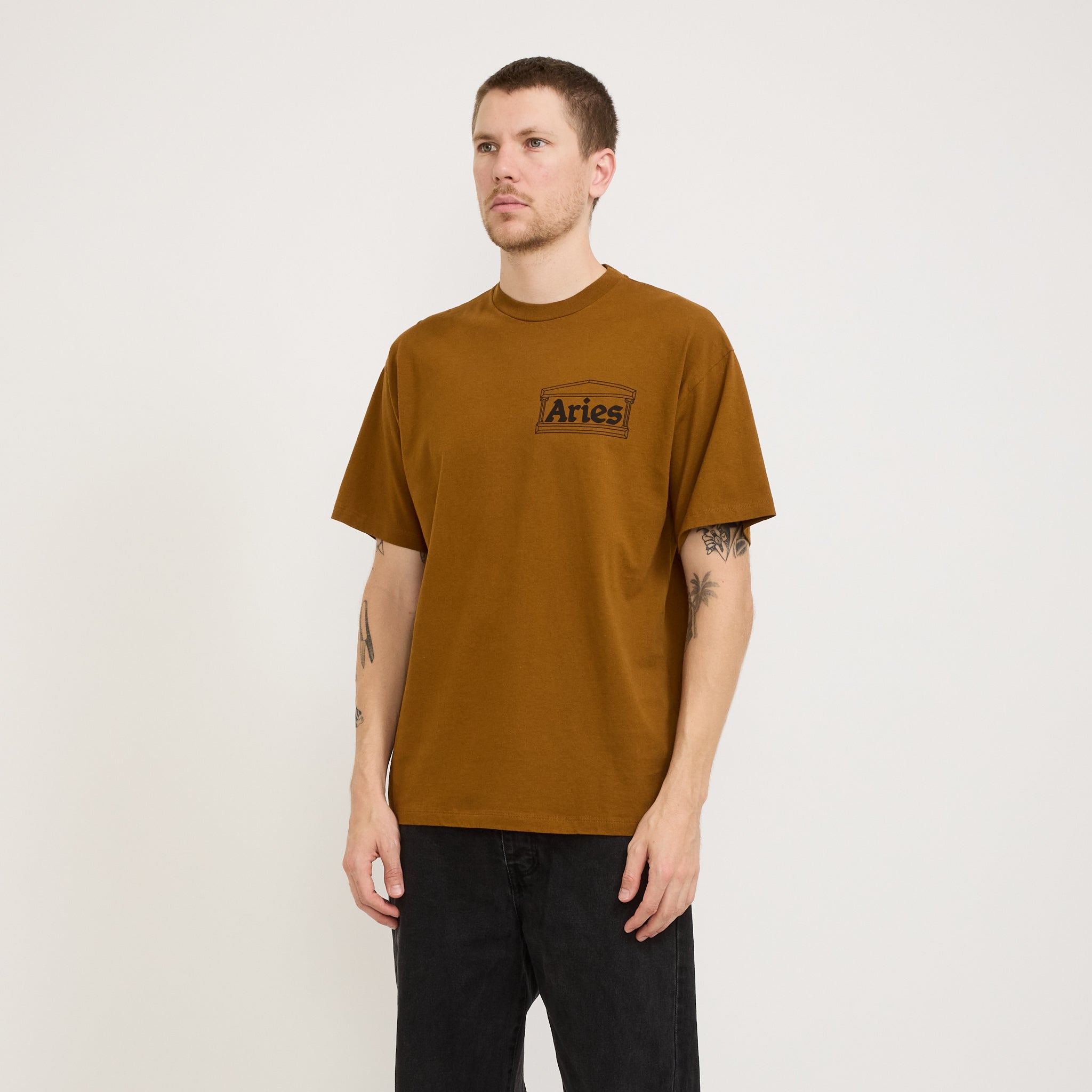 Temple SS Tee Brown
