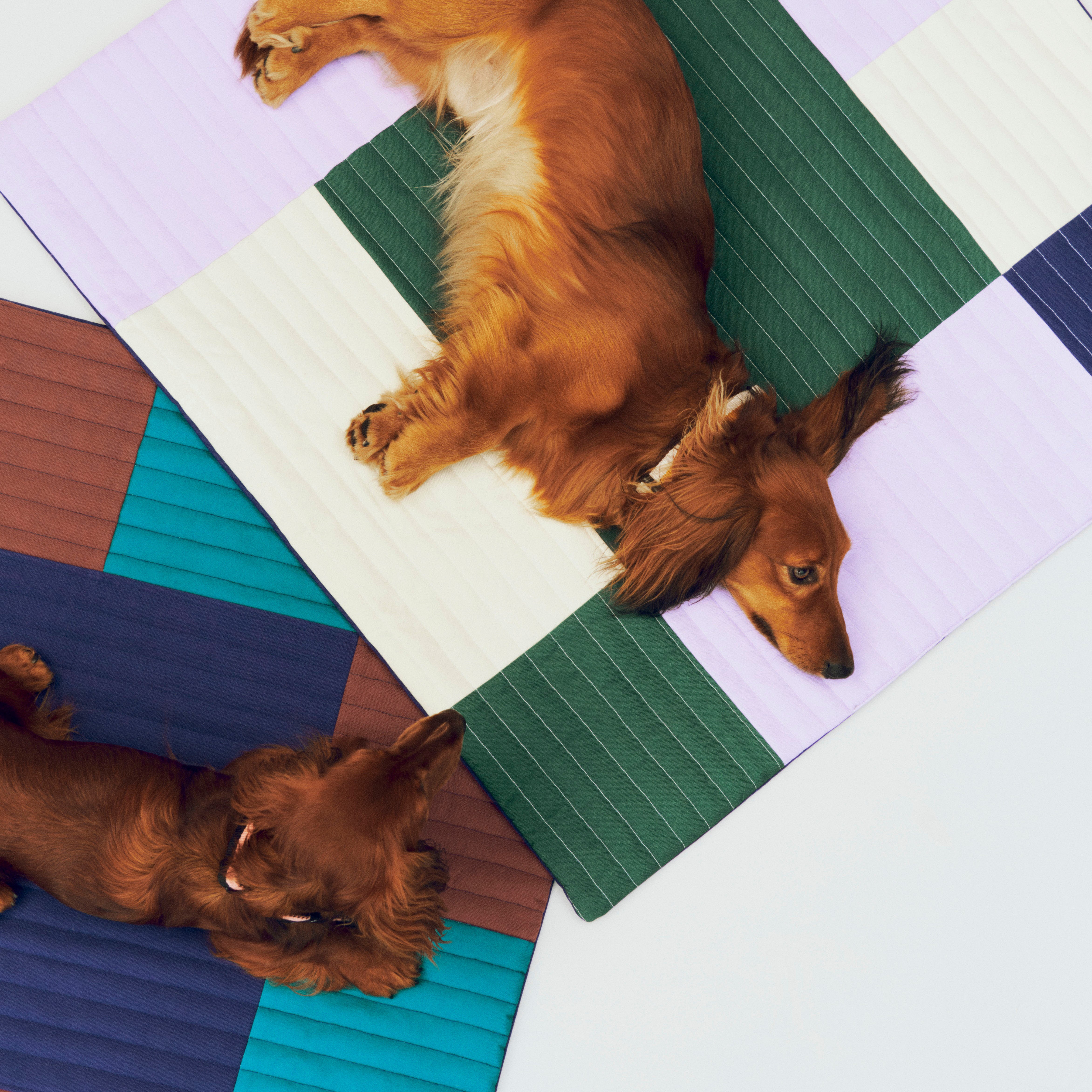 Dogs Travel Blanket Lavendar/Green/Blue