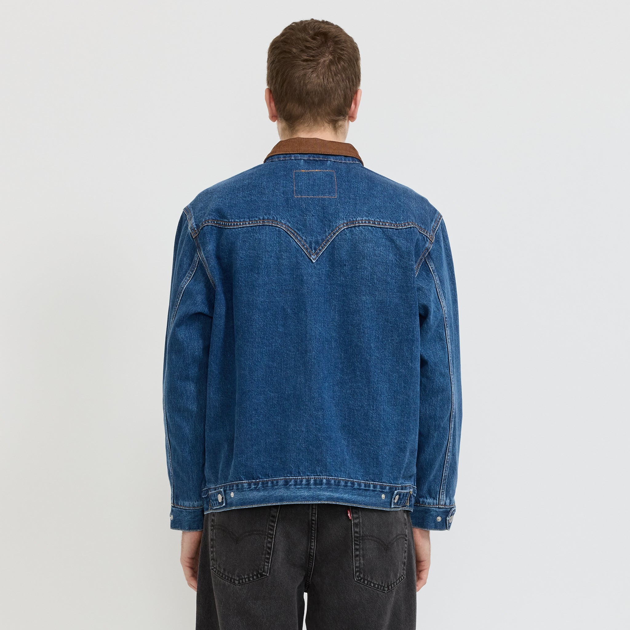 Levis | Western Shorthorn North Action Trucker | Maplestore