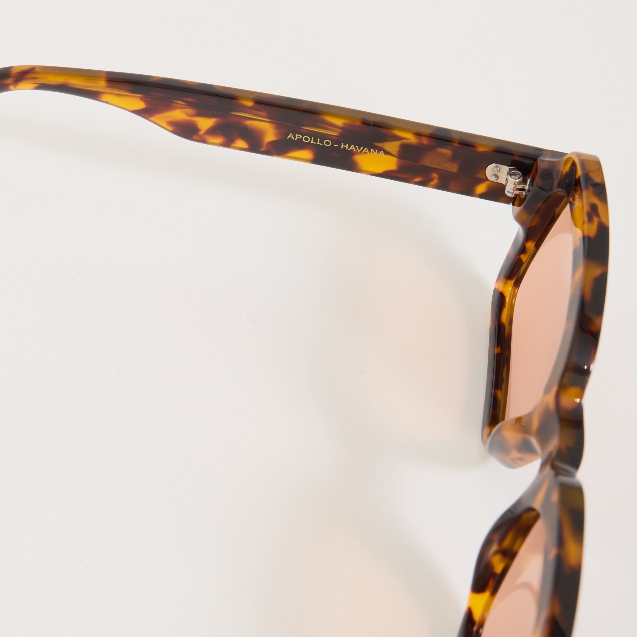 Monokel Eyewear | Apollo Havana | Orange Solid Lens | Maplestore