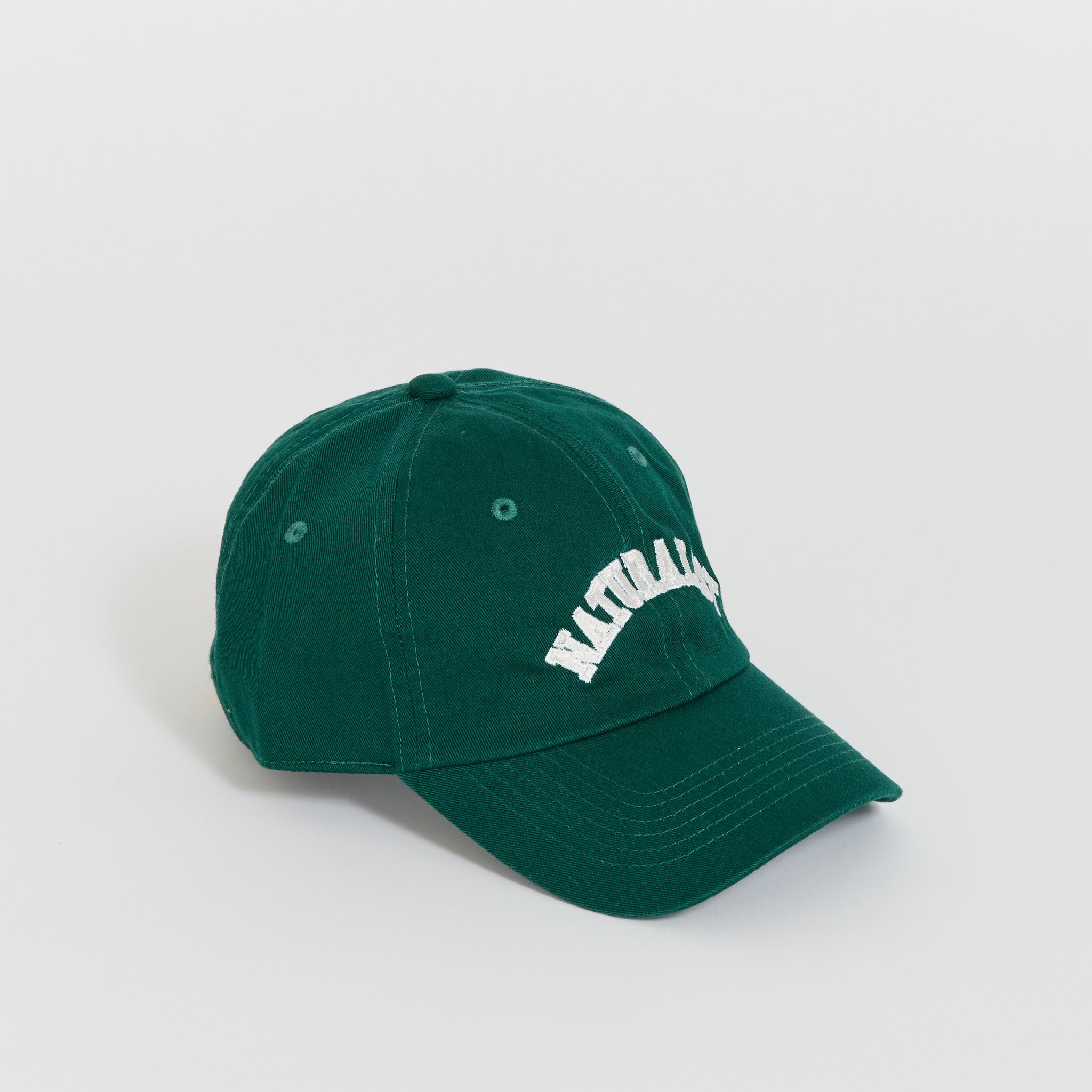 Naturalist Dad Hat Forest