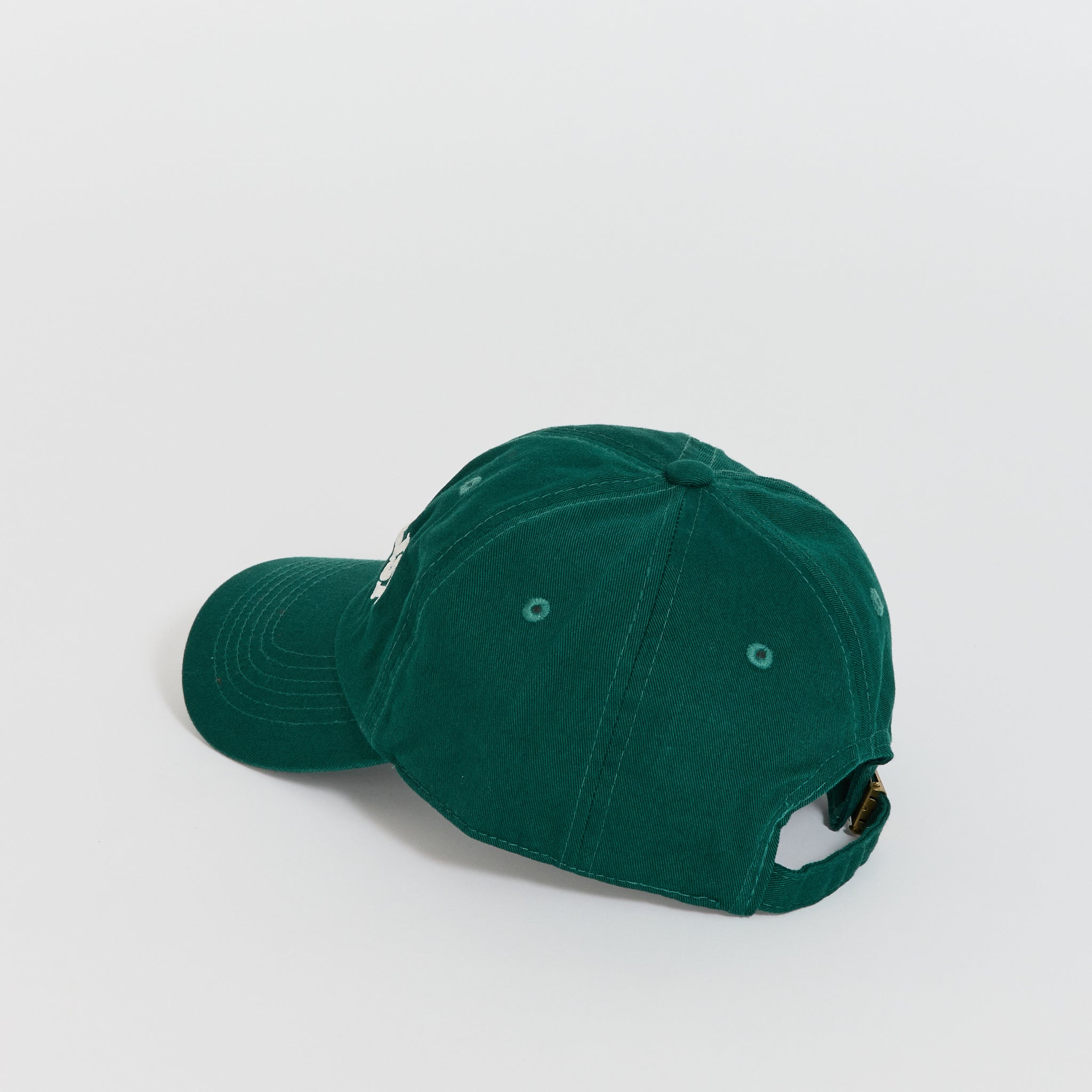 Naturalist Dad Hat Forest