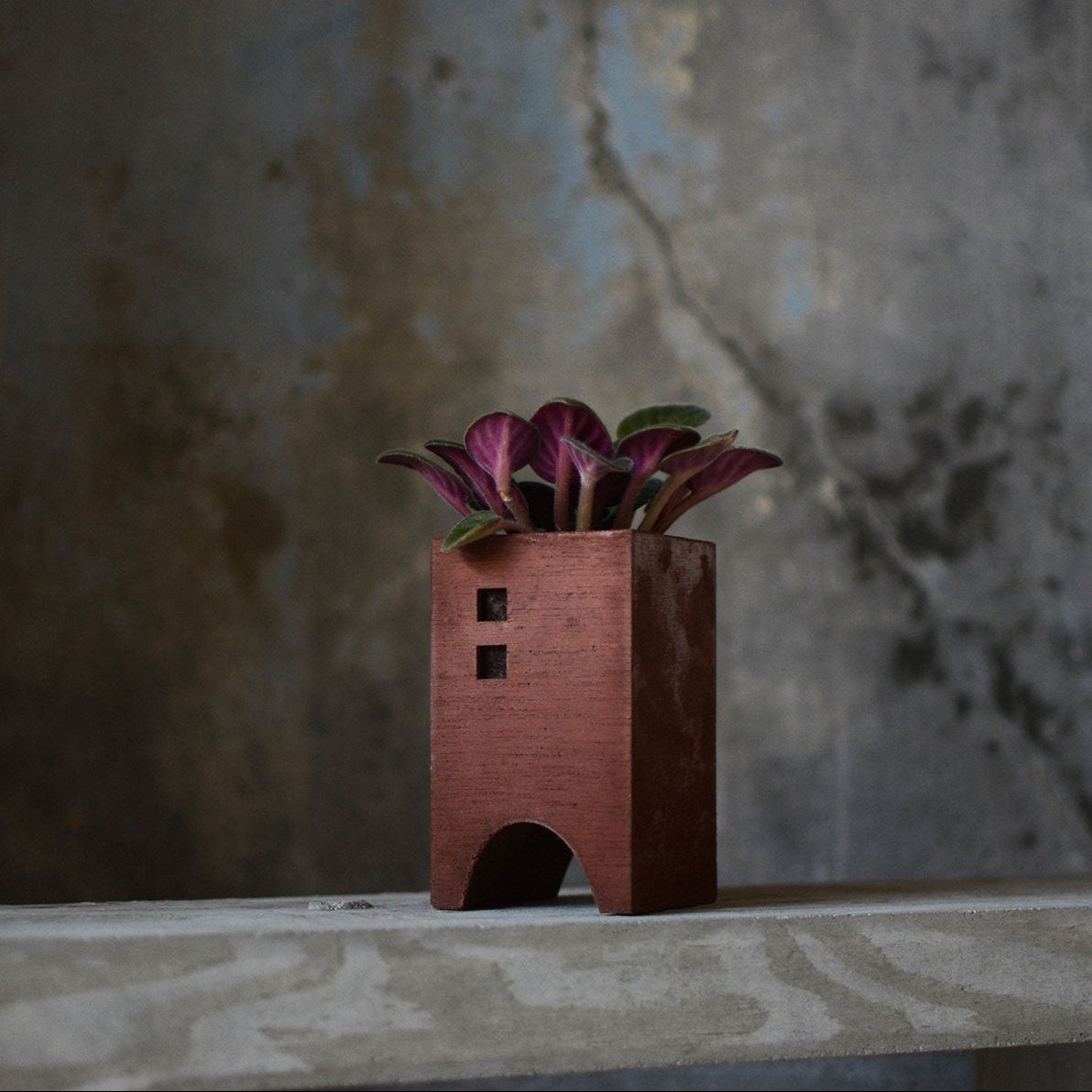 Pull Push Japan | Tunnel Planter | Maplestore