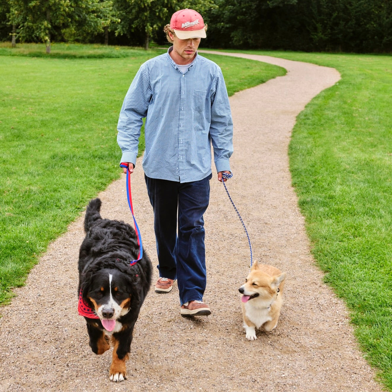 HAY | Dogs Leash Braided Red/Blue | Maplestore