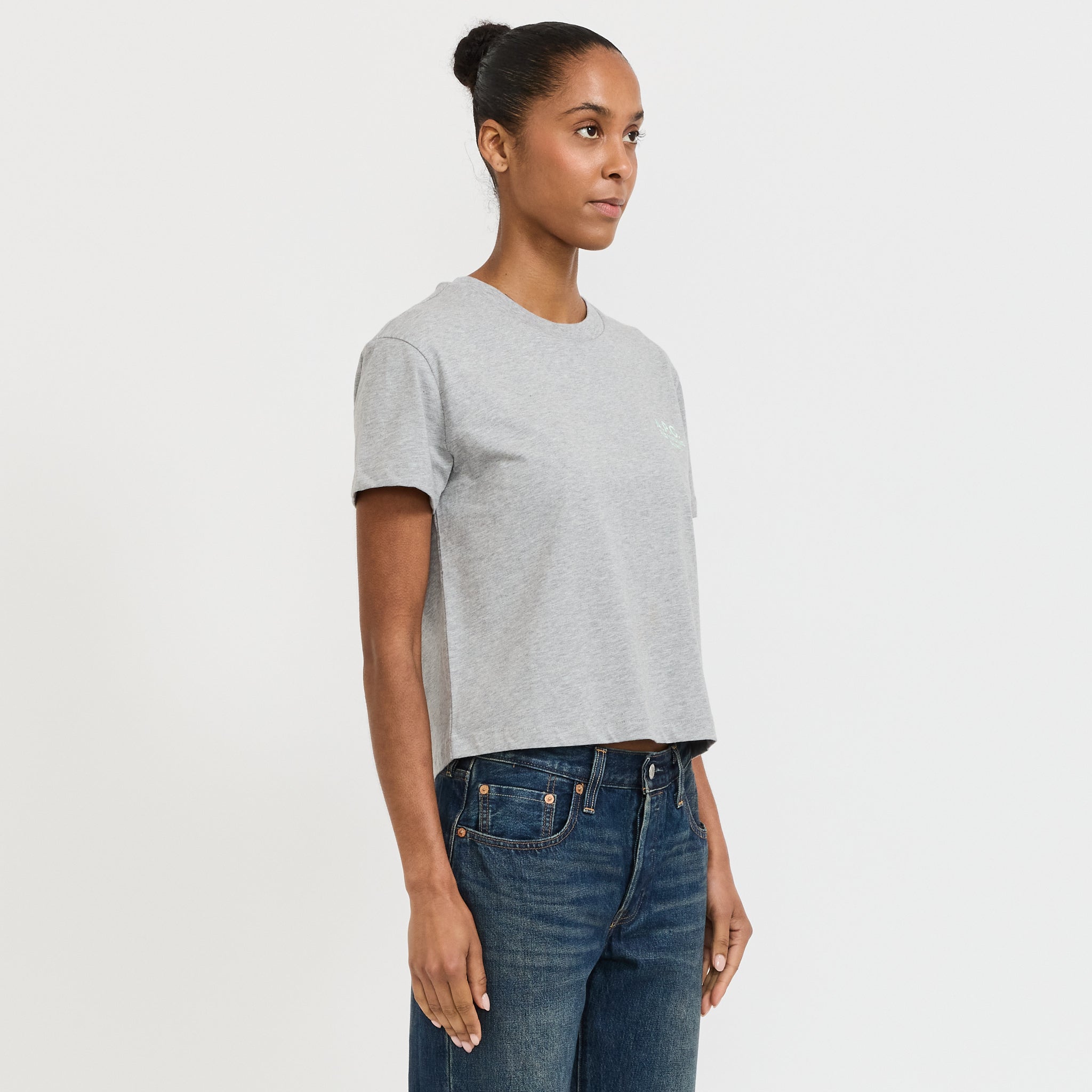 A.P.C. | Boxy Rue Madame T-Shirt Heather Grey/Water Green | Maplestore