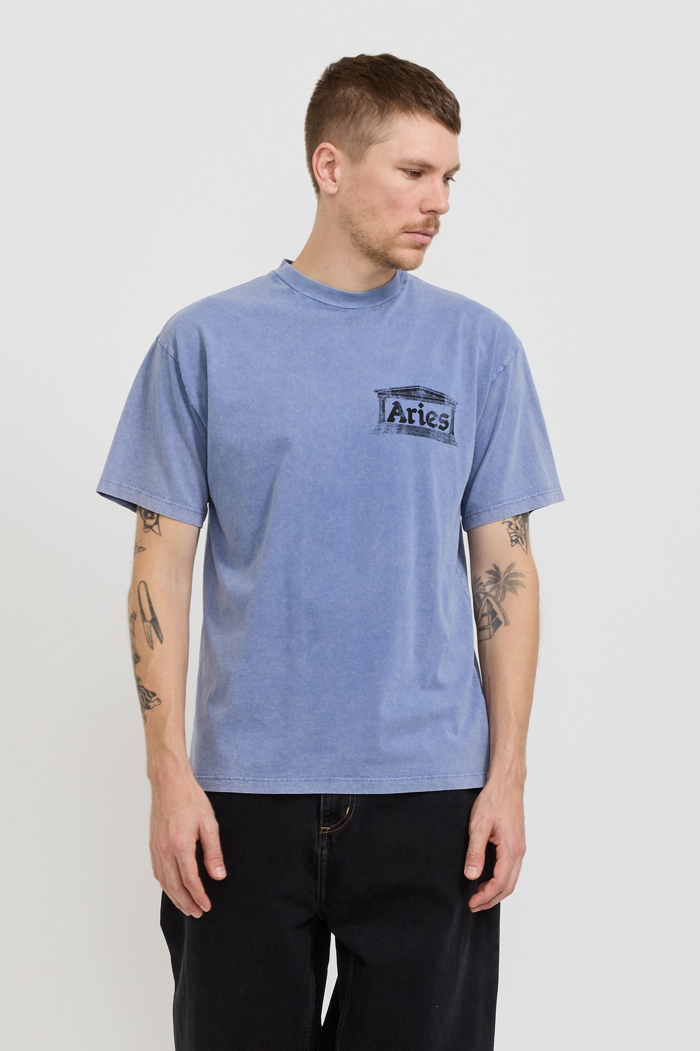 Aries | Aged Ancient Temple SS Tee Blue | Maplestore