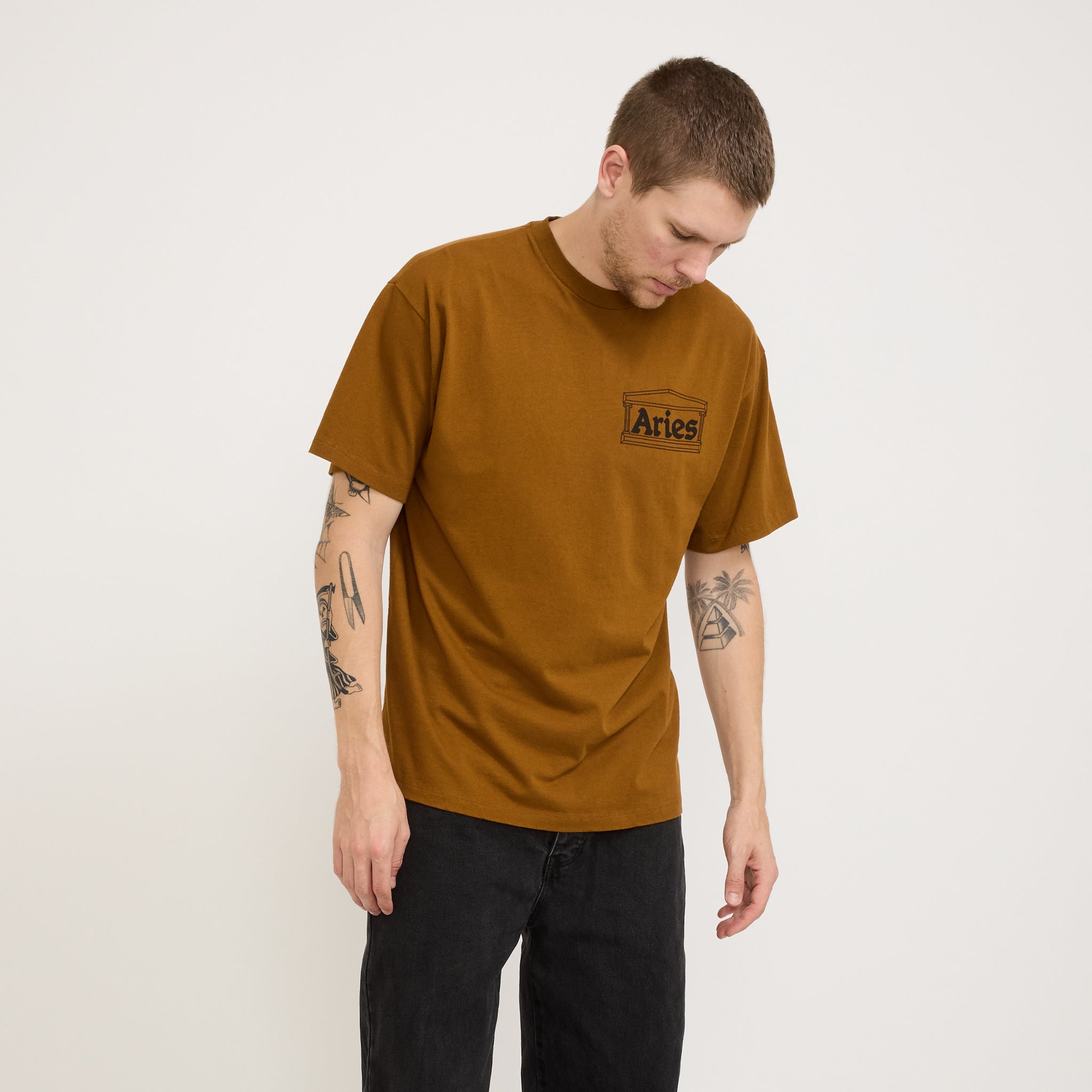 Temple SS Tee Brown
