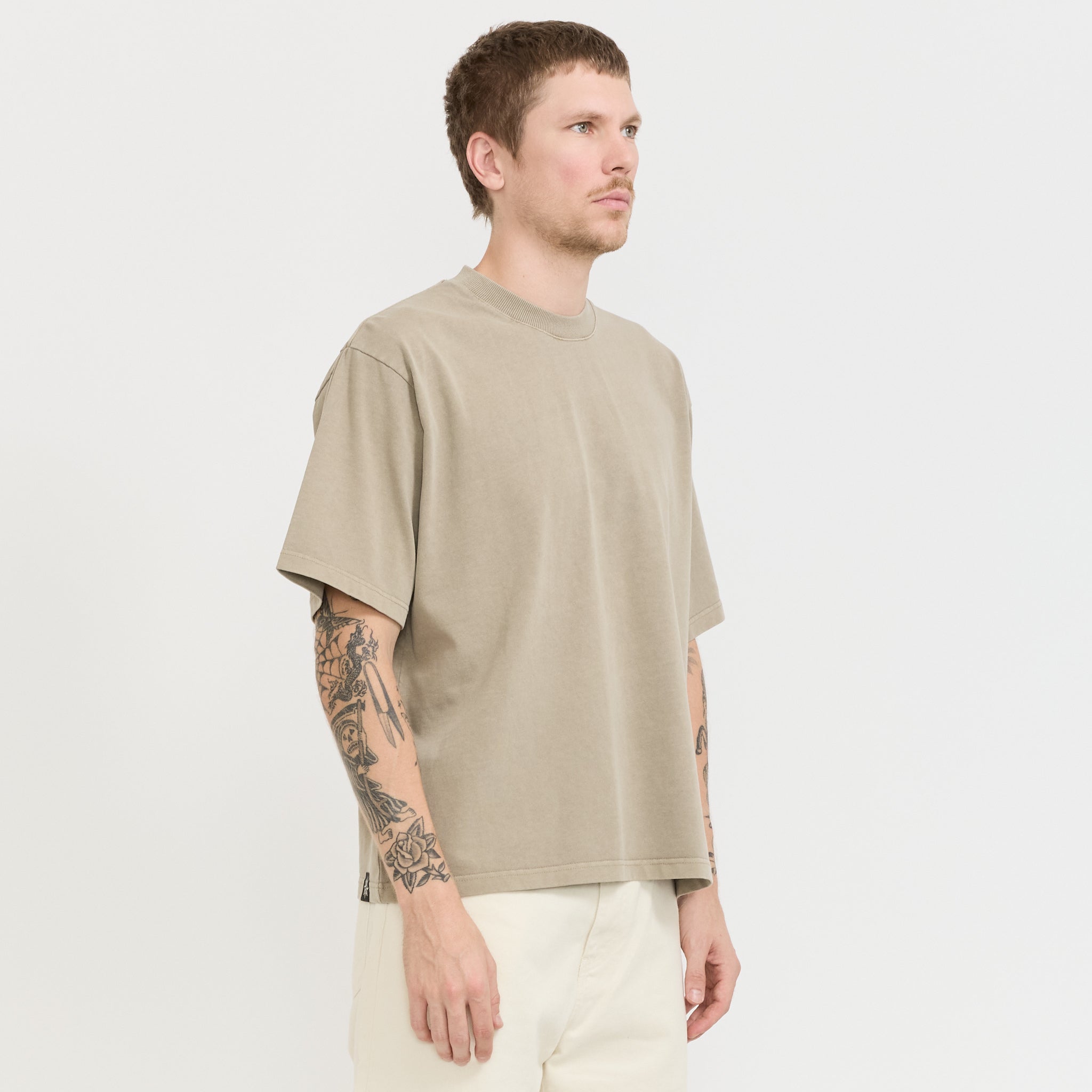 Beach Brains | Dream Tee Desert | Maplestore