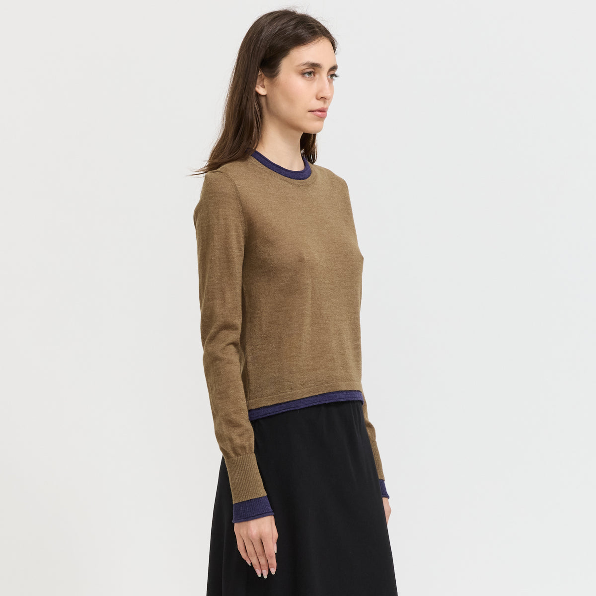 Fine Yarn Round Neck Knit Brown