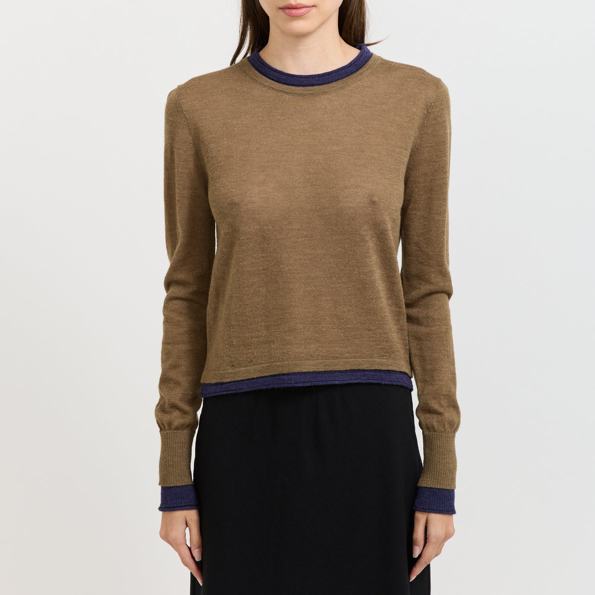 Fine Yarn Round Neck Knit Brown