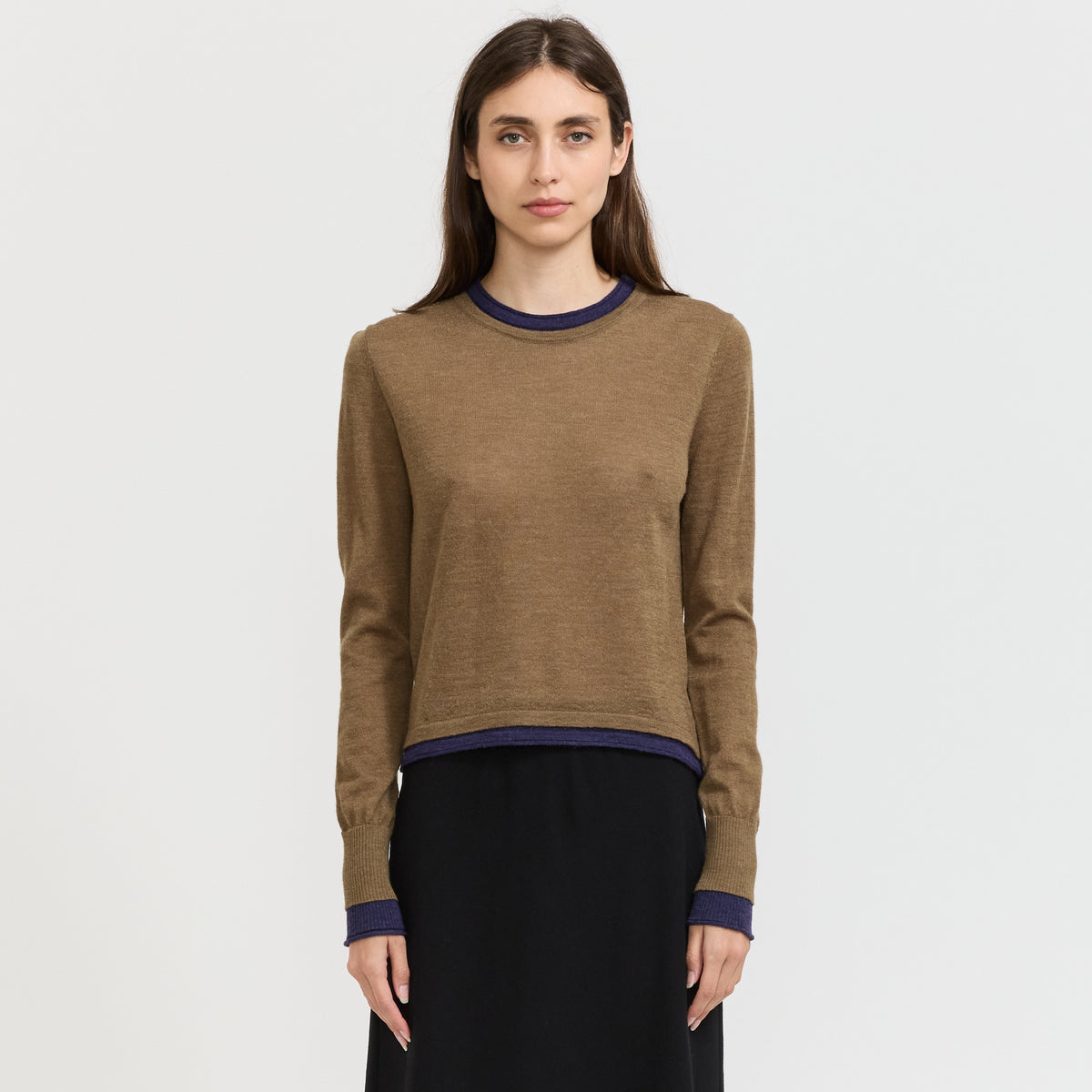 Fine Yarn Round Neck Knit Brown