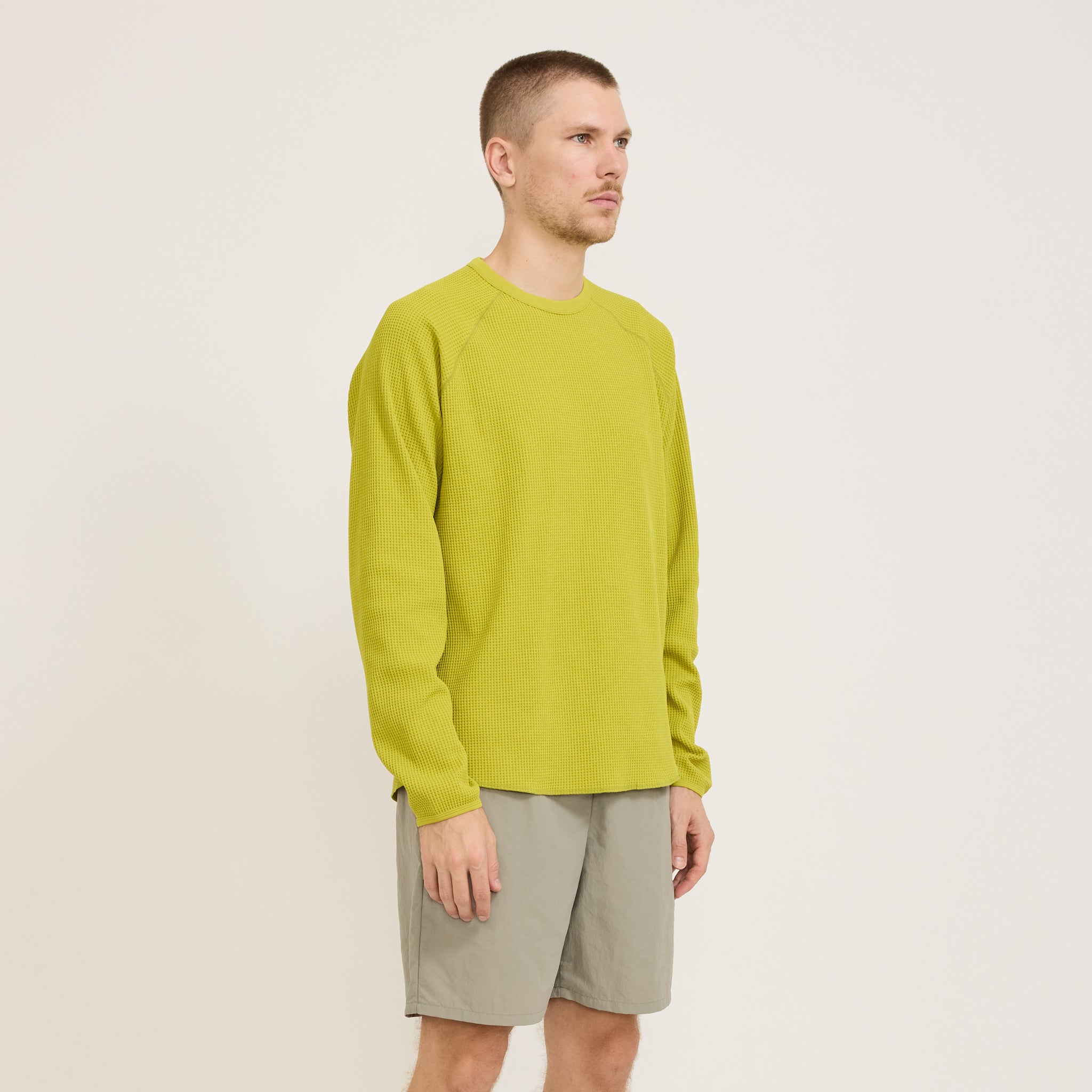 WF Light L/S T-Shirt Honey Olive