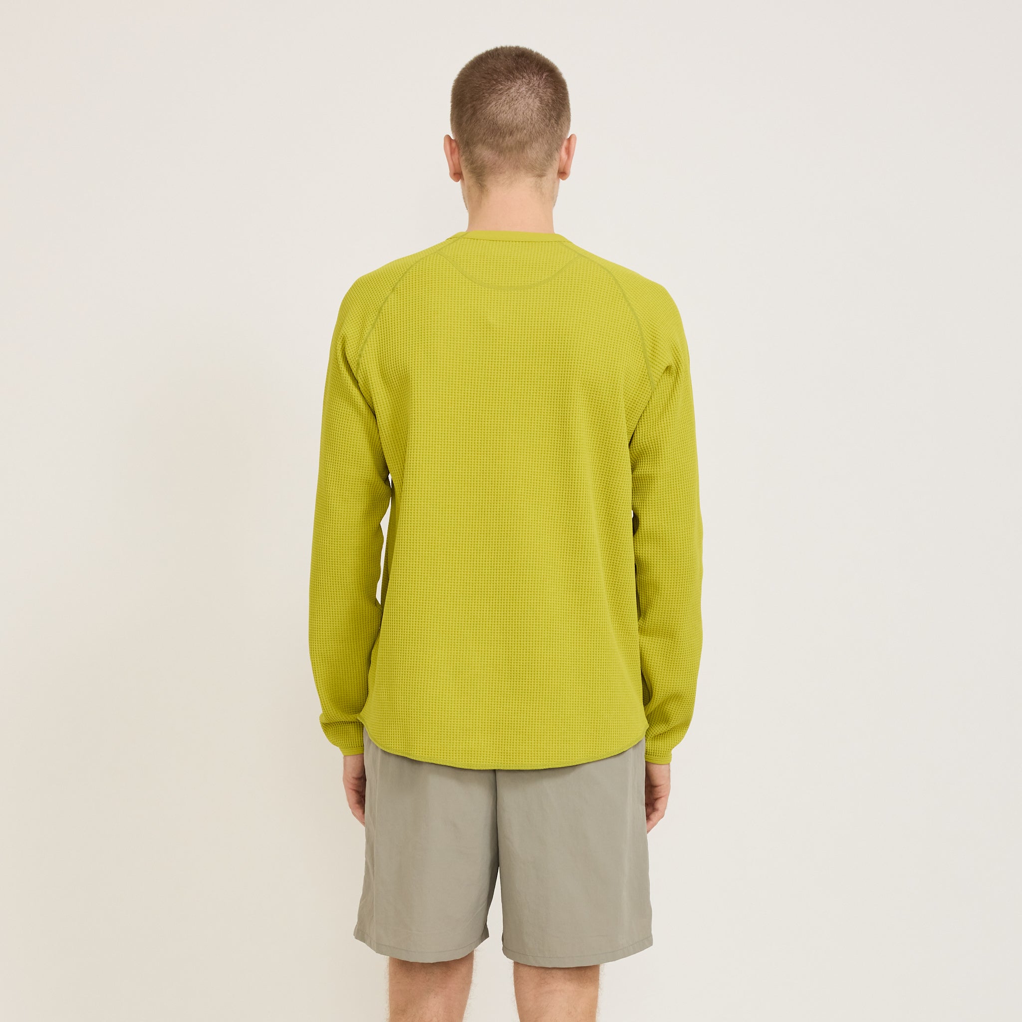WF Light L/S T-Shirt Honey Olive