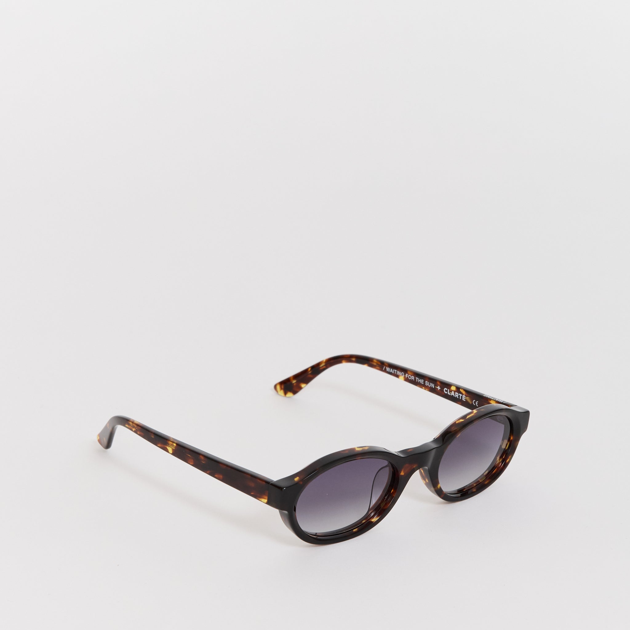 Kendall Clarete E20 Verres Degrade Pourpe Lens