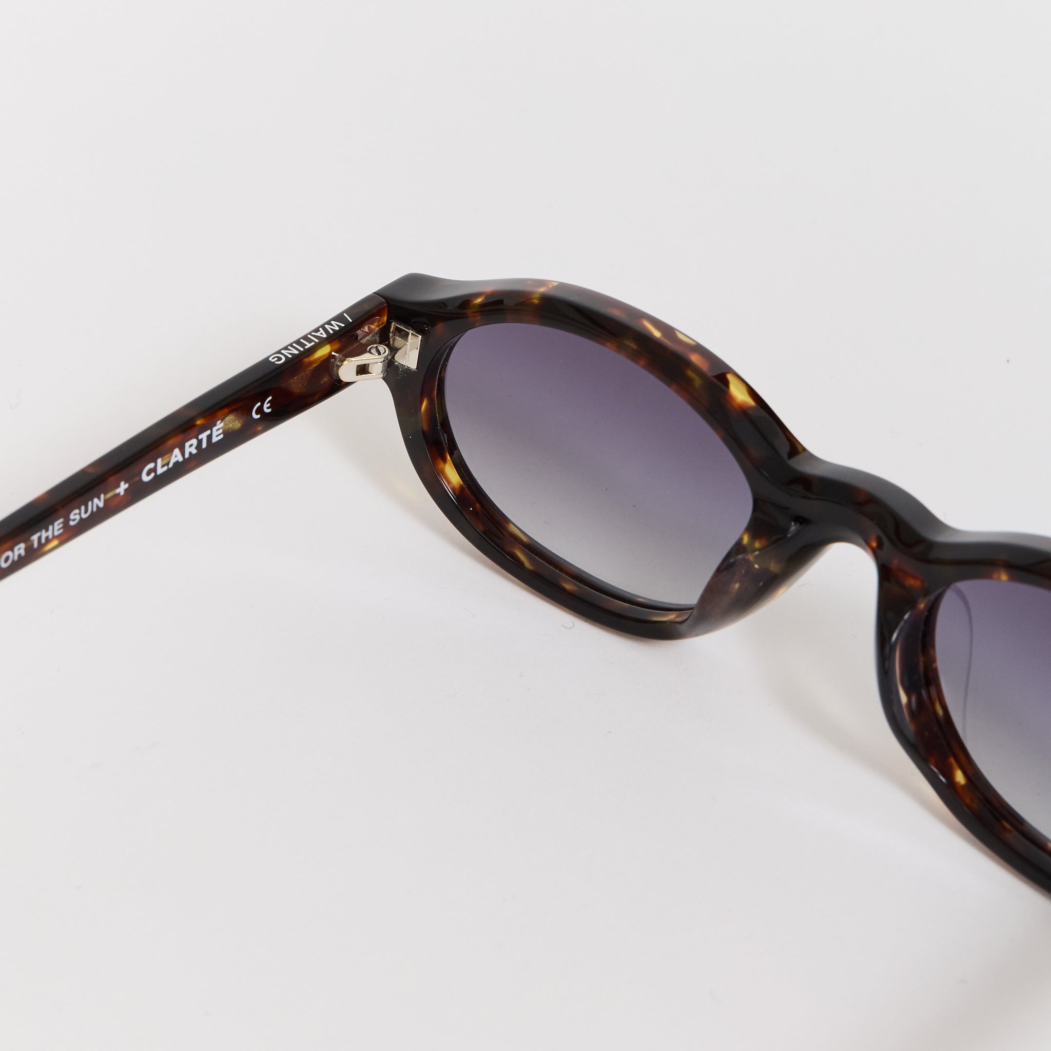 Kendall Clarete E20 Verres Degrade Pourpe Lens