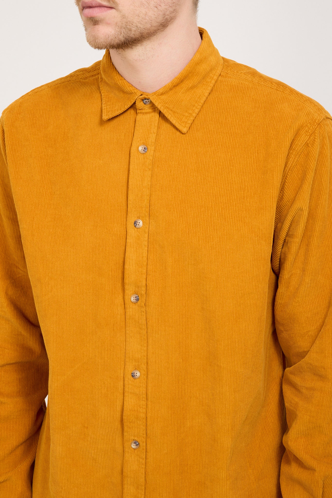 Kestin | Dirleton Shirt Saffron | Maplestore