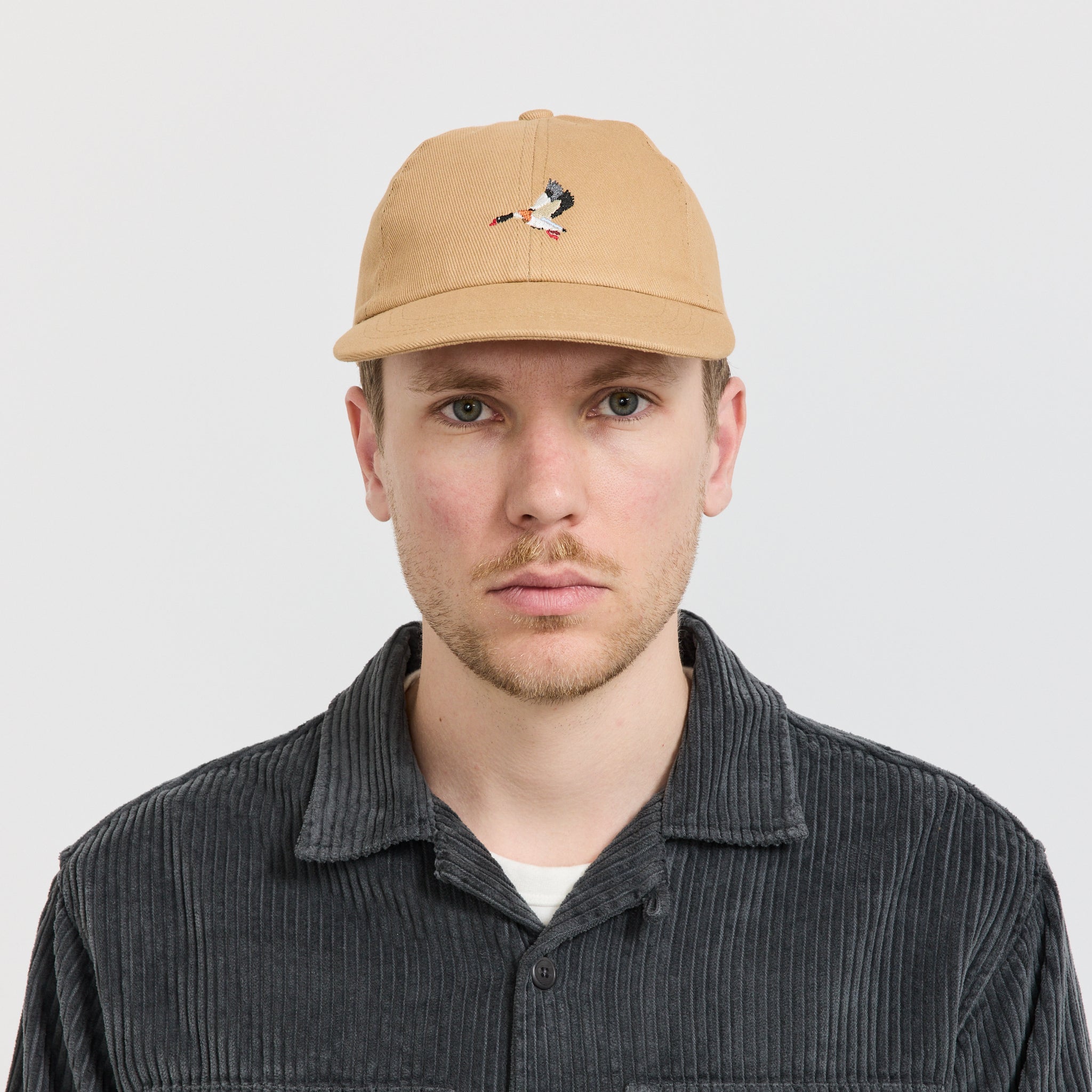Kestin | Twill Cap Duck Embroidery Tan | Maplestore