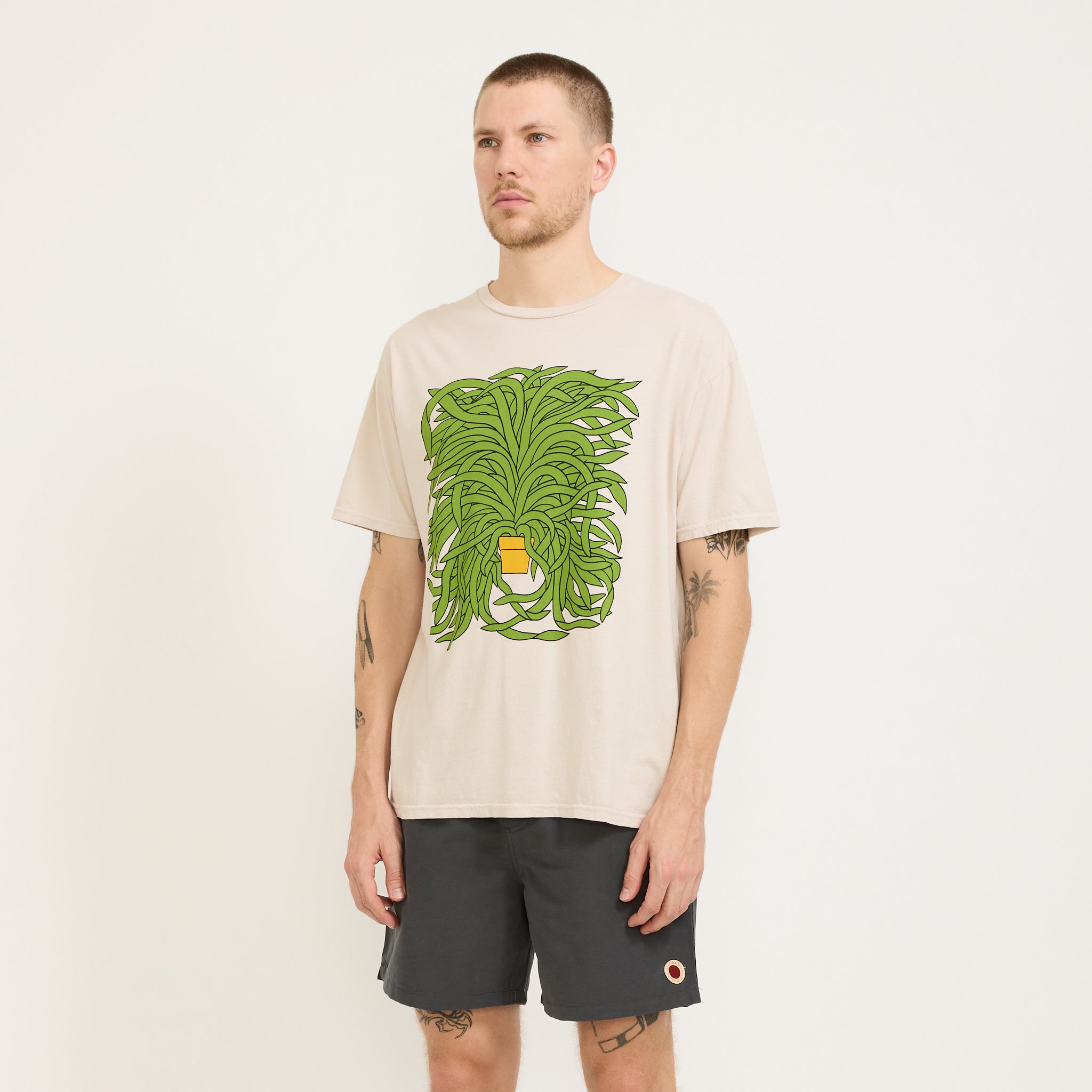 Mollusk | Grow Tee Fog | Maplestore