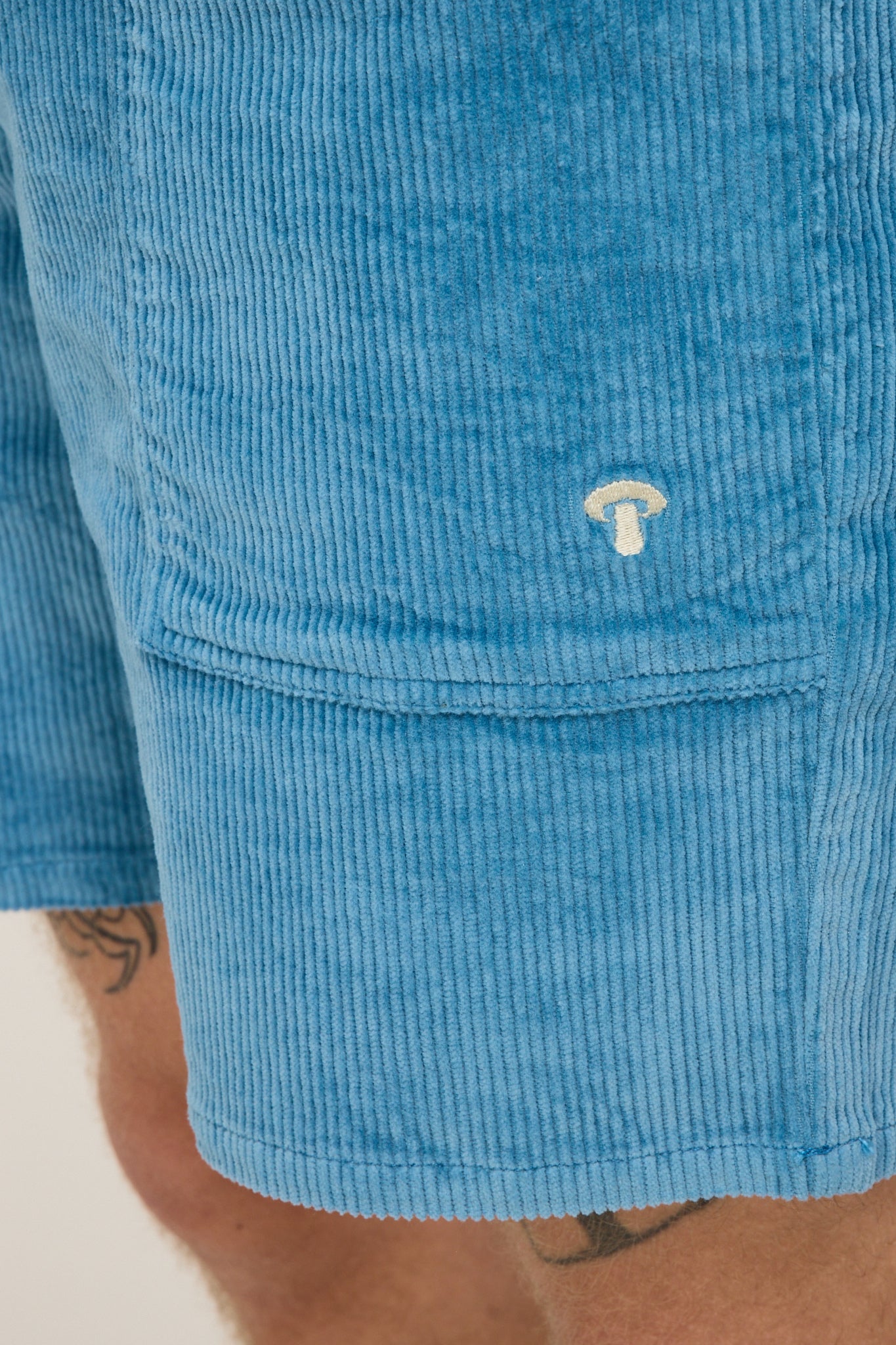 Mollusk | Shroom Shorts Azure | Maplestore