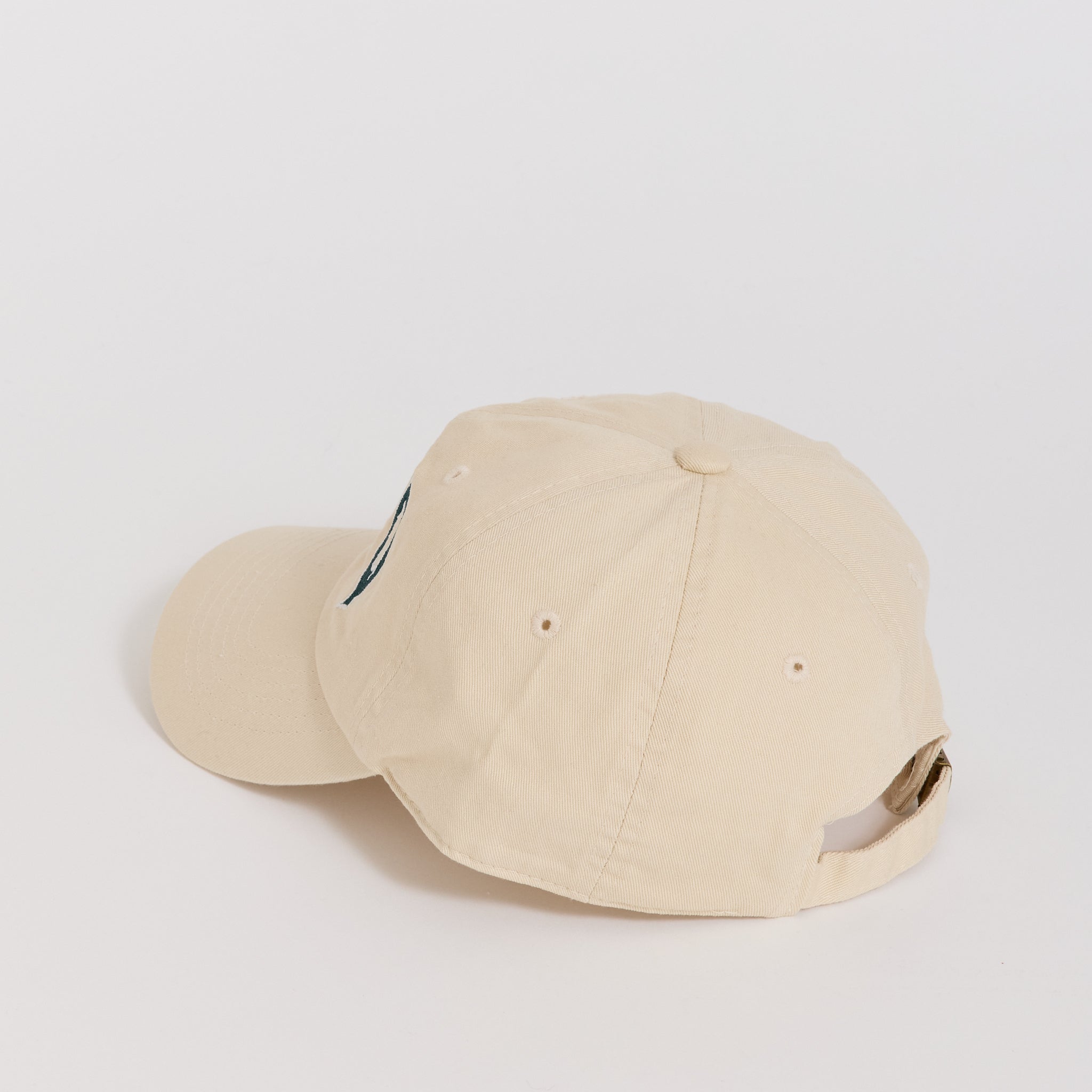 University Dad Hat
