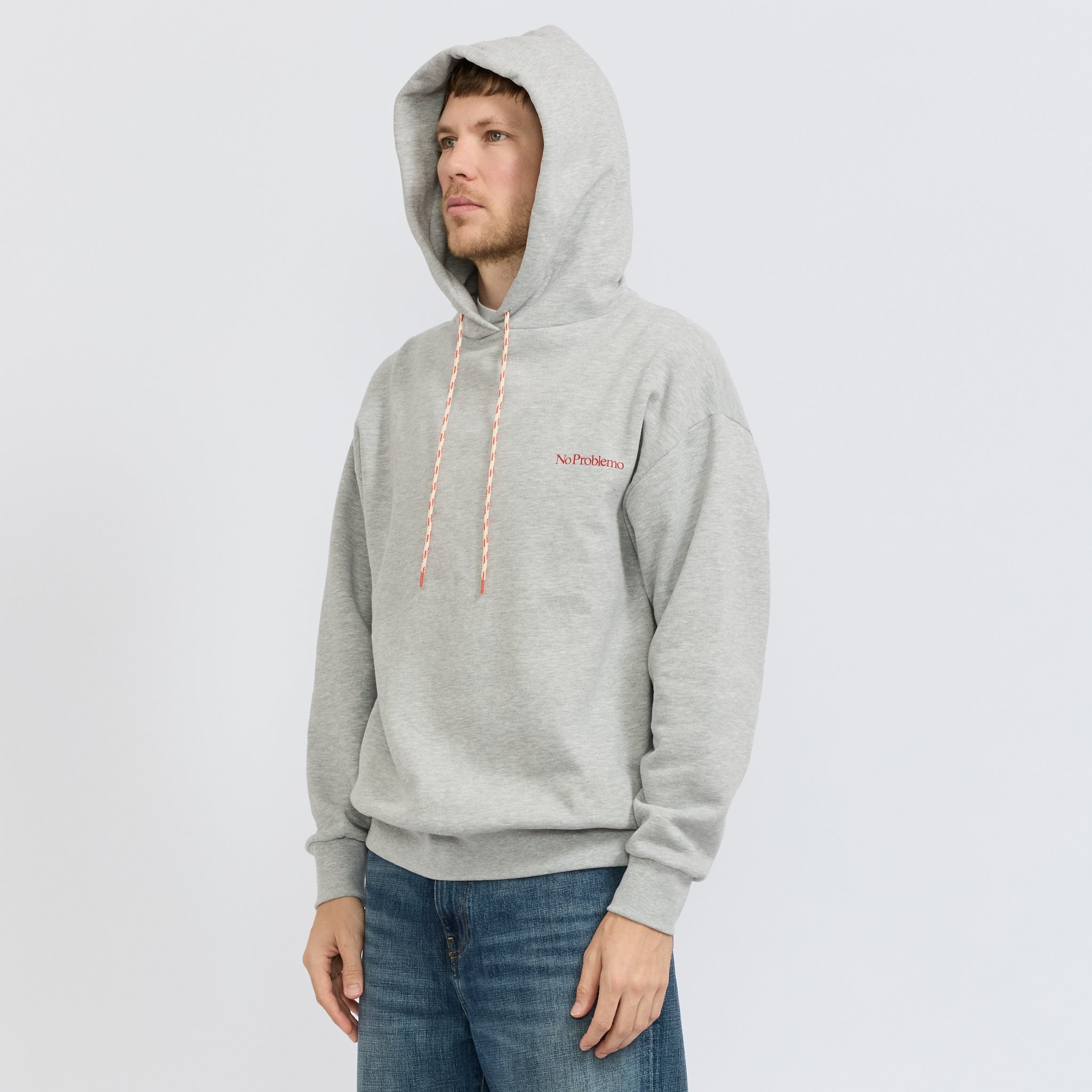 Mini Problemo Hoodie Sport Grey