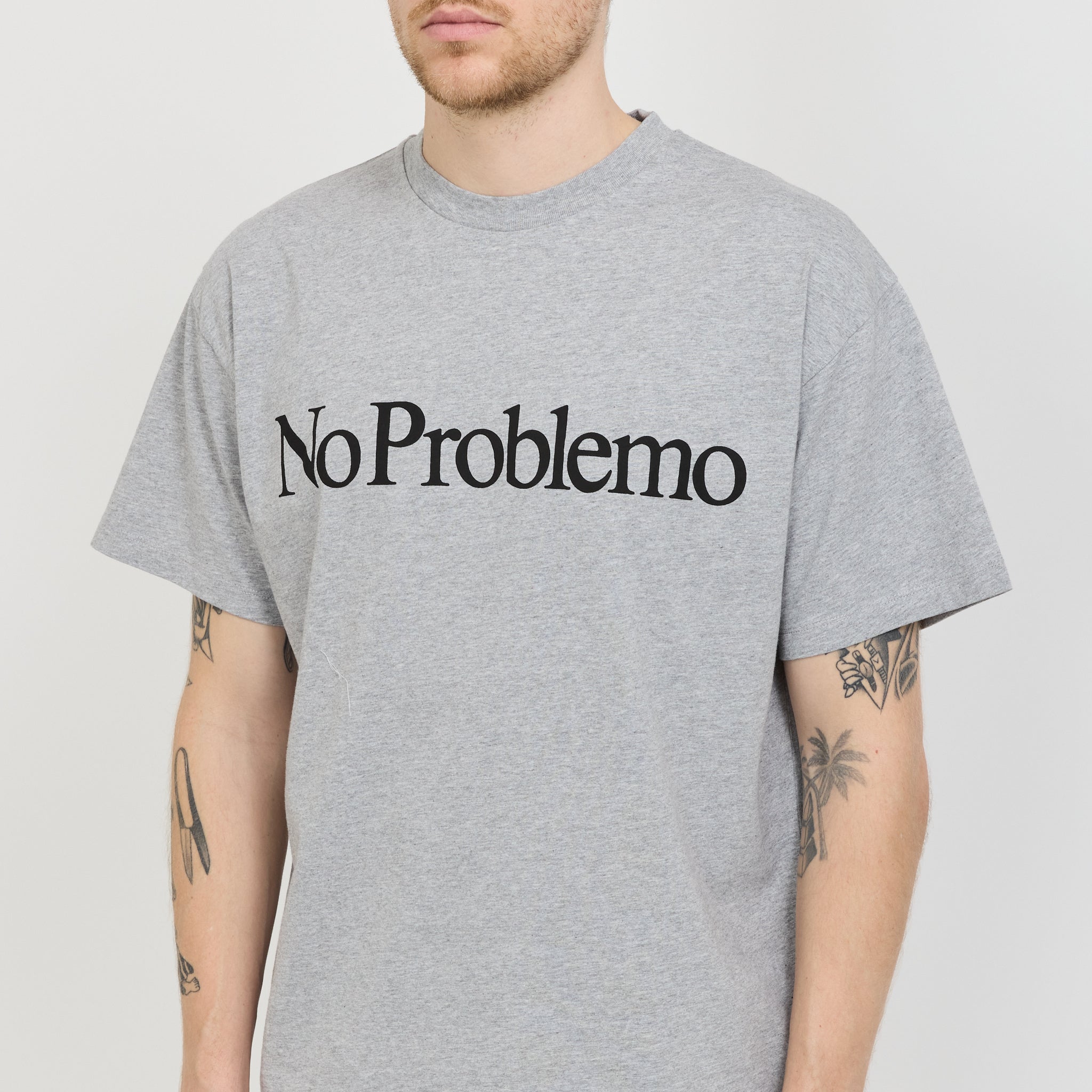 No Problemo SS Tee Grey Marle