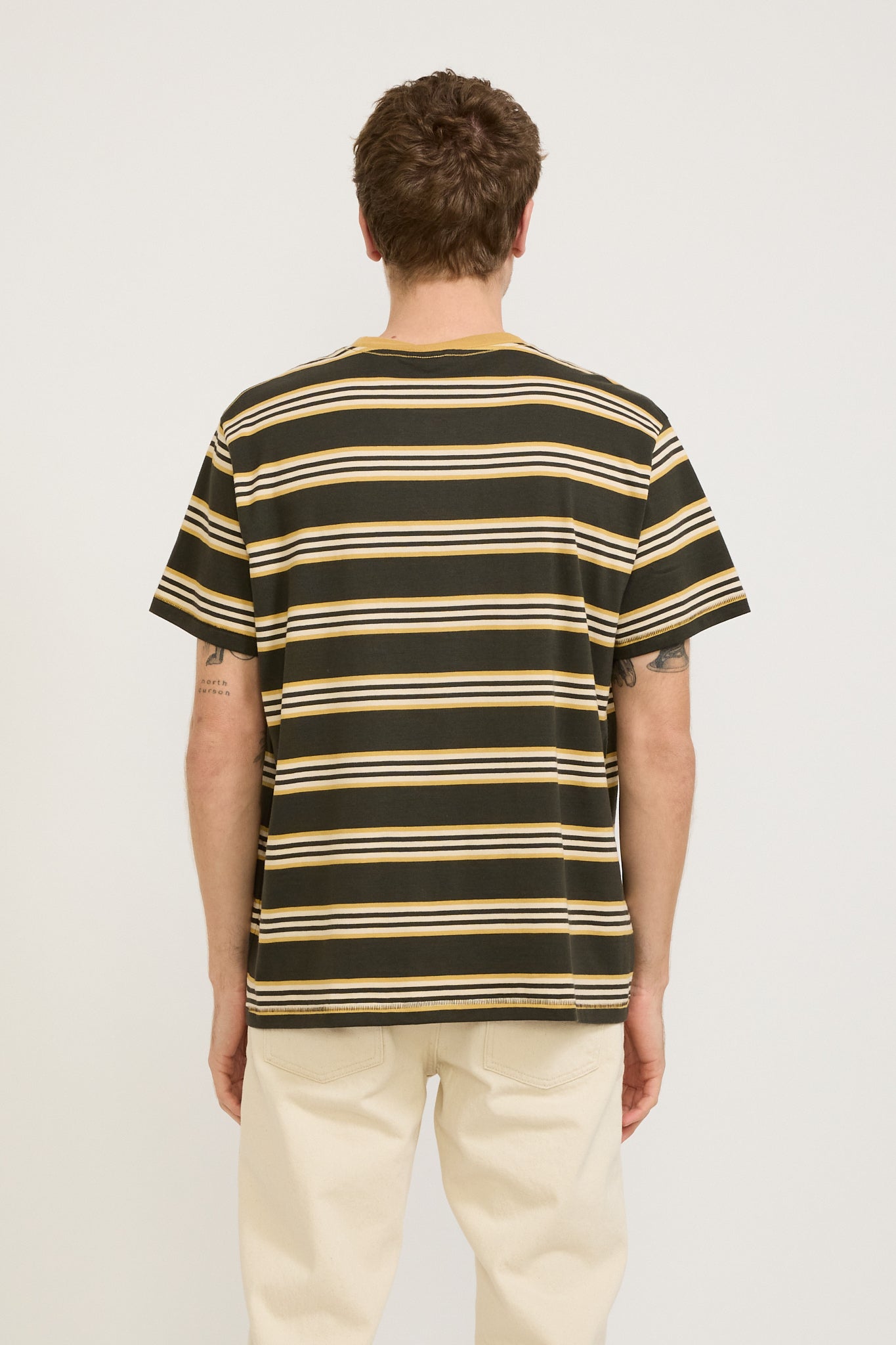 Nudie Jeans Co. | Leif Mud Stripe T-Shirt Multi | Maplestore