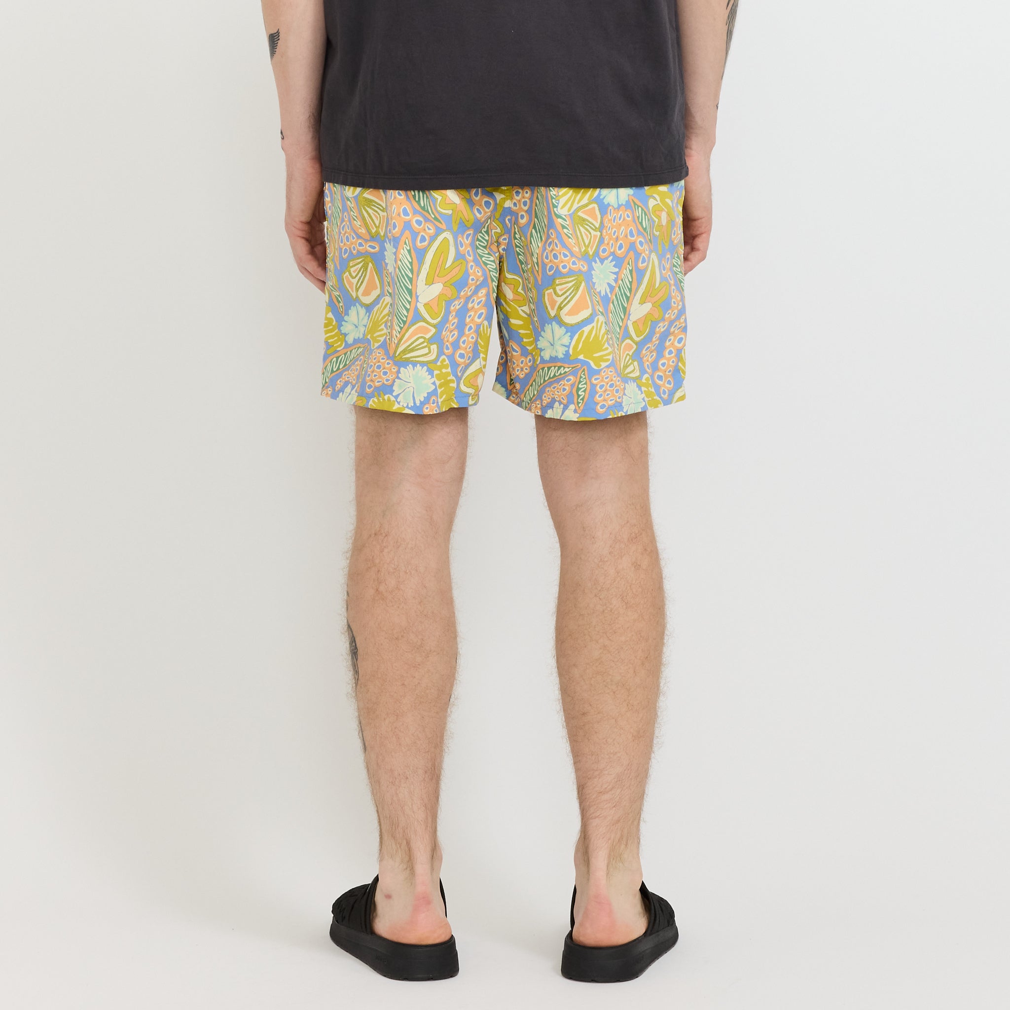 Baggies Shorts - 5 in. Abundant Blue