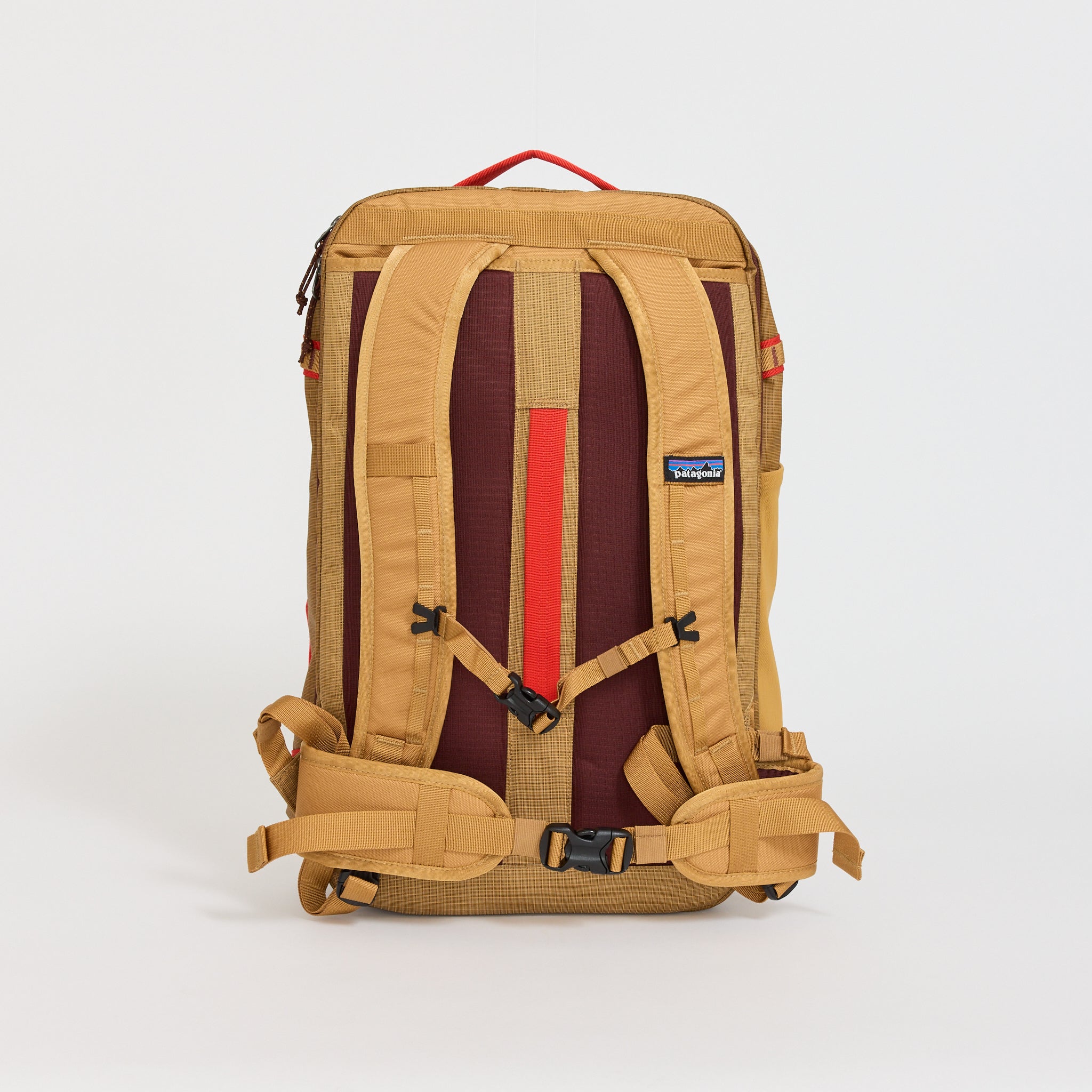 Black Hole Mini MLC Talon Gold