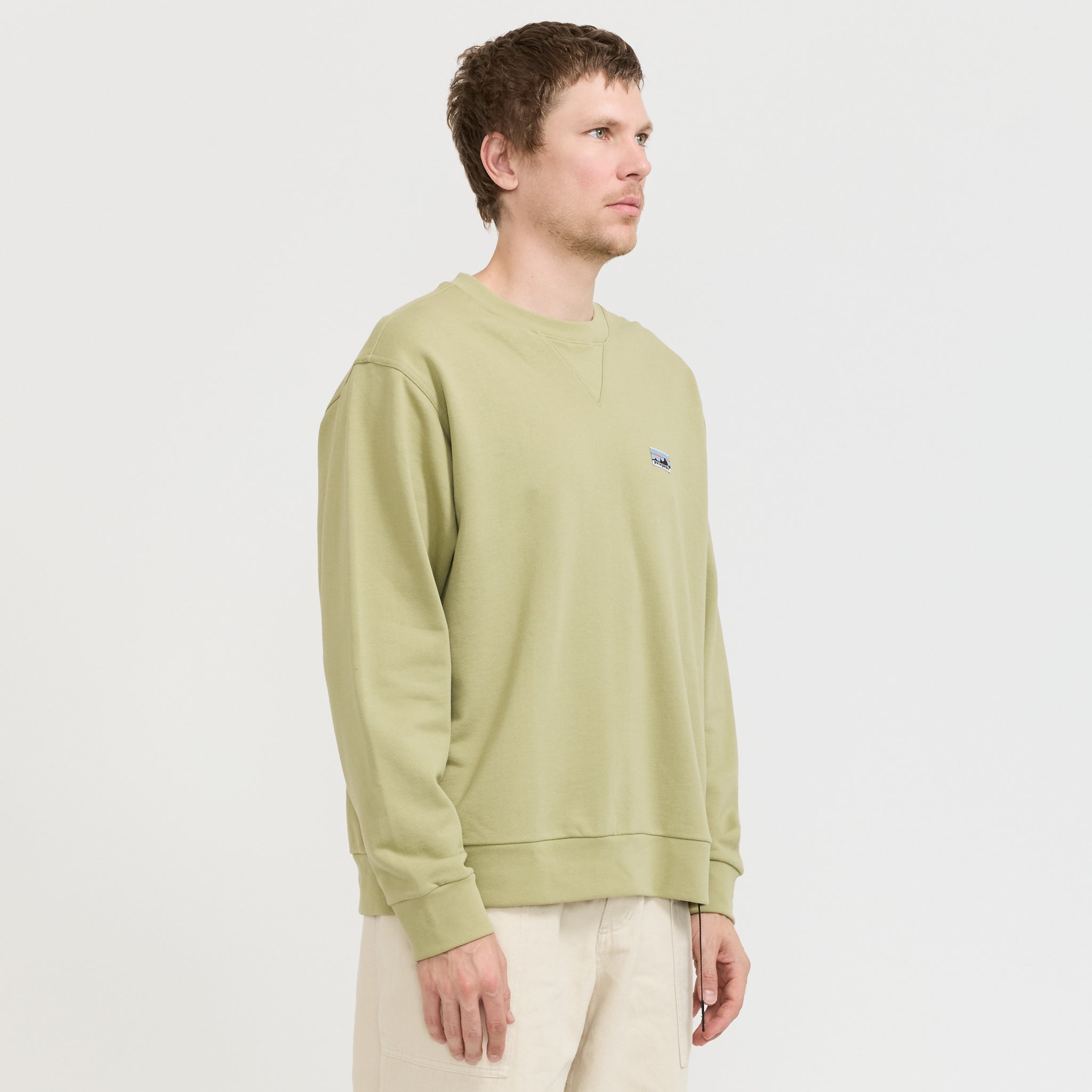 Patagonia | Daily Crewneck Sweatshirt Gumtree Green | Maplestore