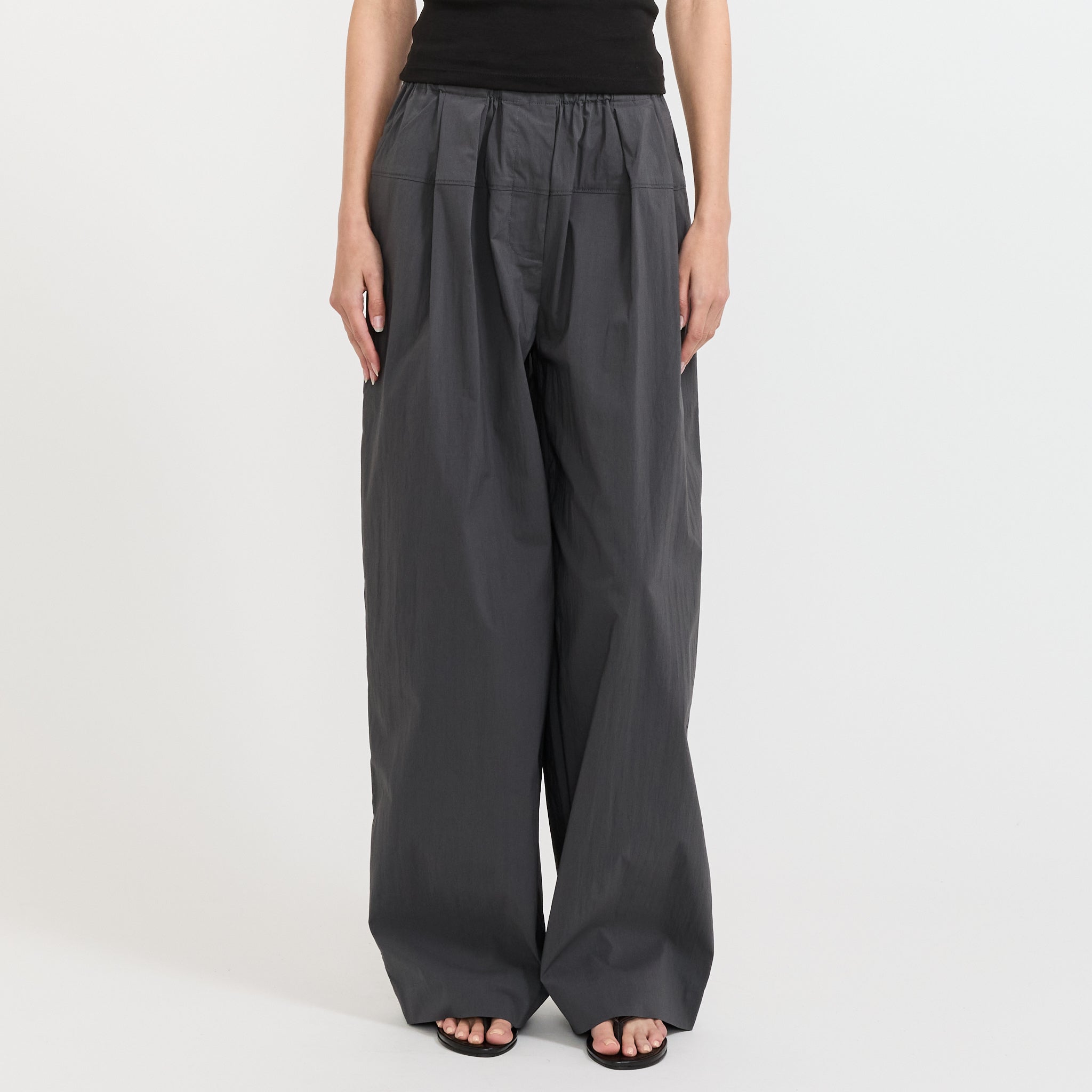 Relaxed Pleat Pants Iron Glaze