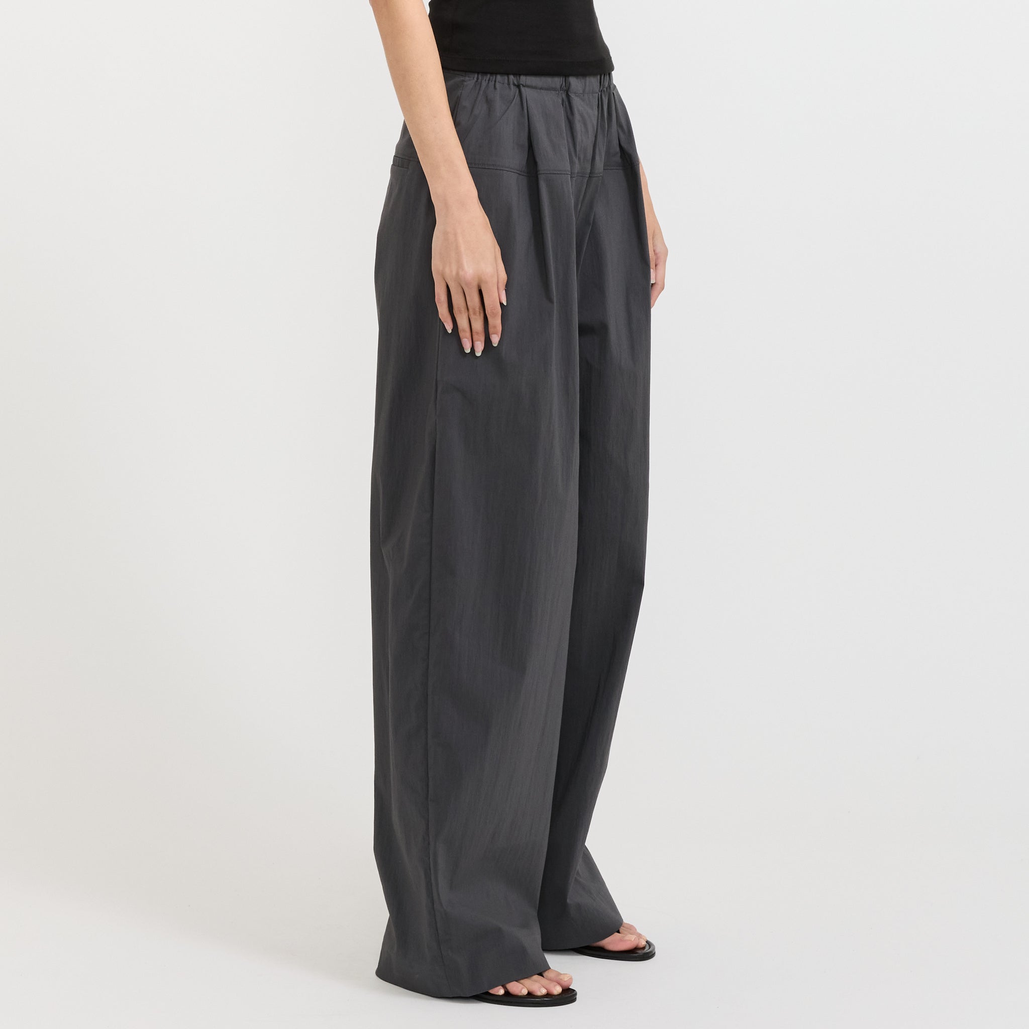 Relaxed Pleat Pants Iron Glaze